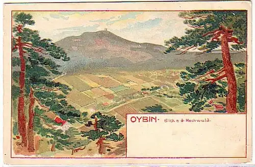 18615 Ak Oybin Blick nach dem Hochwald um 1910