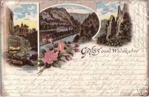 18488 Ak Lithographie Gruß vom Waldkater Bodethal 1898
