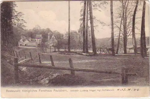 18109 Ak Paulsborn Restaurant Königl. Forsthaus 1906