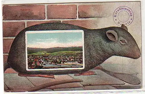 17984 Rats Ak Journée des fleurs de céréales Hameln 1911