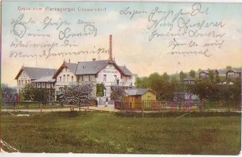 17694 Ak Gruß vom Plantagengut Göppersdorf 1907