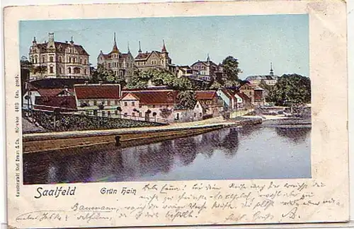 17675 Ak Saalfeld an der Saale Grün Hain 1901