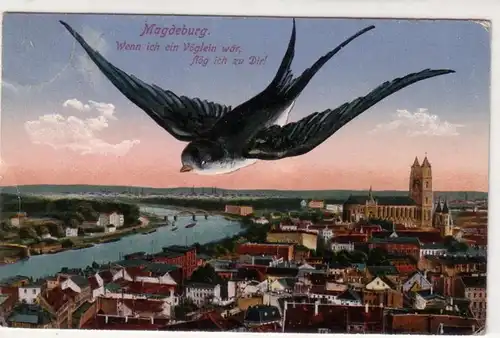 17670 Hirondelles Ak Magdeburg Vue totale 1919