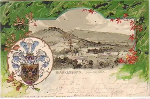 17500 Präge-Ak Blankenburg Schwarzathal 1902