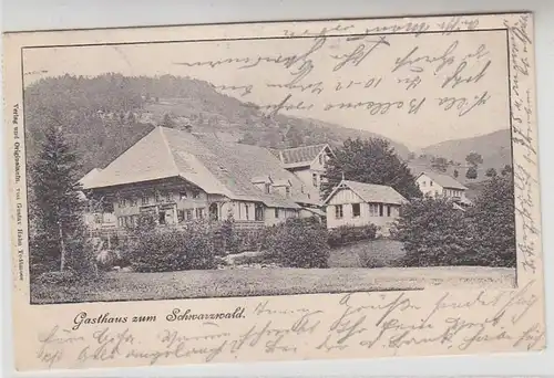 17420 Ak Todtmoos Gasthaus zum Schwarzwald 1901