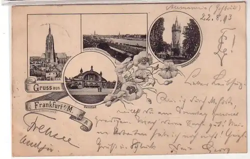 17135 Mehrbild Ak Gruss aus Frankfurt am Main 1893
