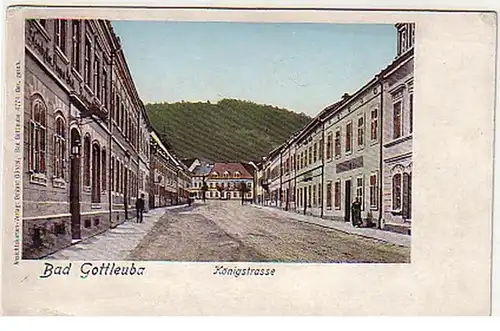 17121 Ak Bad Gottleuba Königstrasse um 1900