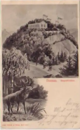 17012 Ak Nossen Bergschlösschen mit Hirsch 1906