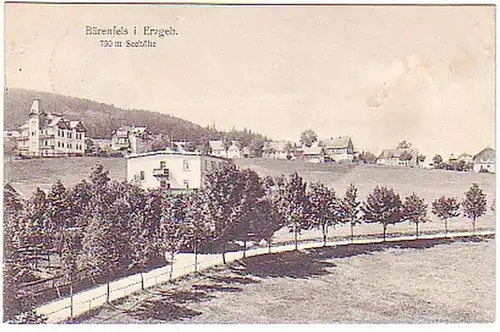 16937 Ak Bärenfels im Erzgebirge um 1910