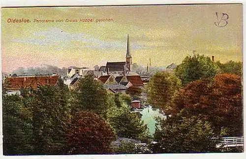 16907 Ak Oldesloe Panorama von Drews Koppel aus um 1929