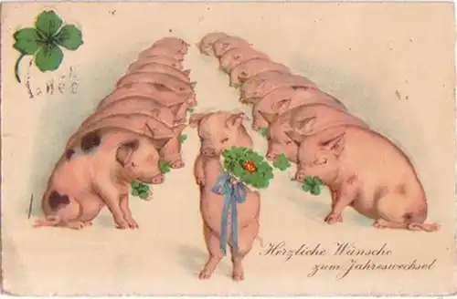 16748 Neujahrs Ak mit vielen Glücksschweinen 1929