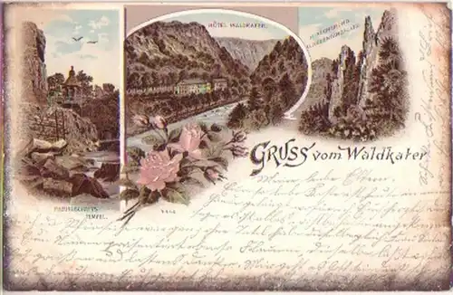 16644 Ak Lithographie Gruß vom Waldkater Bodethal 1898