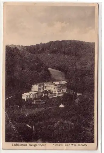 16606 Ak Bergzabern Kurhotel Eich Westenhöfer um 1930