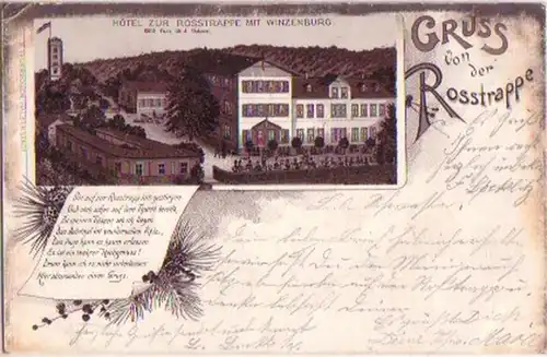 16583 Ak Lithographie Gruß von der Rosstrappe Harz 1898