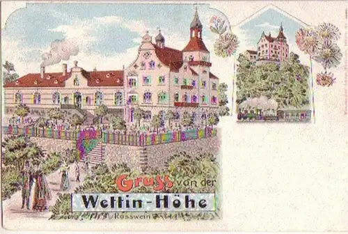 16459 Ak Gruss von der Wettin Höhe Rosswein 1904