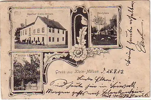 16418 Mehrbild Ak Gruss aus Klein Mölsen 1903