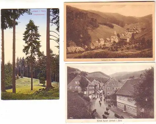 16322/3 Ak Kurort Lerbach im Harz um 1920