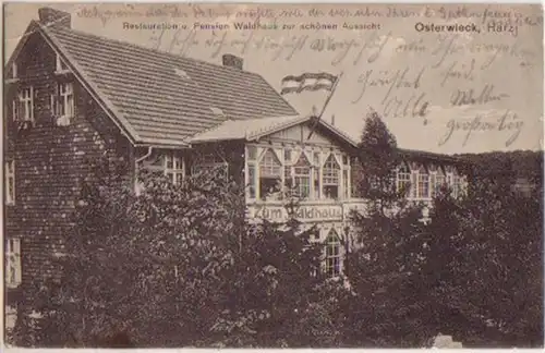 16288 Ak Osterwieck Harz Pension Waldhaus 1914