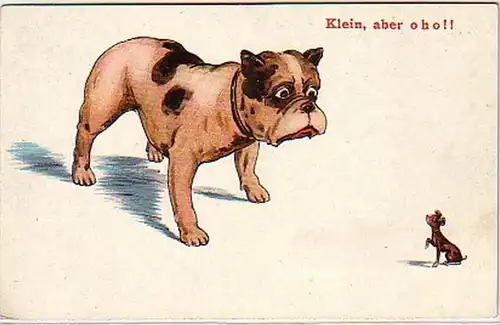 16077 Humor Ak Hund "Klein, aber o h o !" um 1920