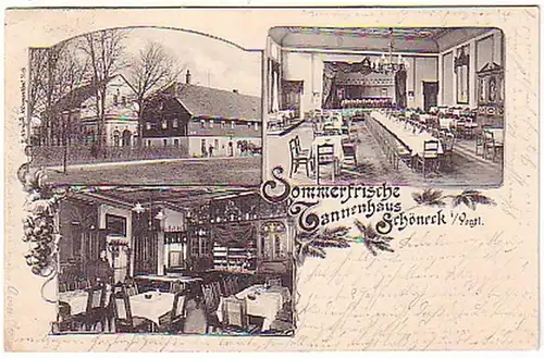 15977 Ak Sommerfrische Tannenhaus Schöneck im V. 1904