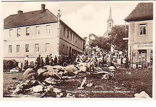 15907 Foto Ak Berggießhübel Unwetterkatastrophe 1927