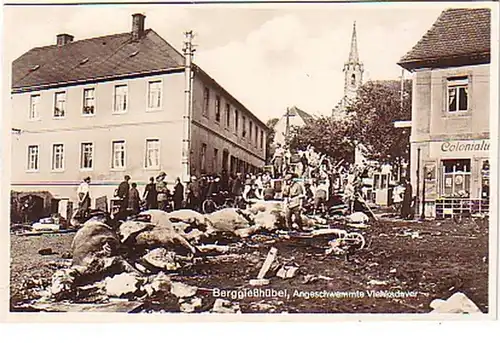15907 Photo Ak Arbuste de coulée de montagne catastrophe de tempête 1927