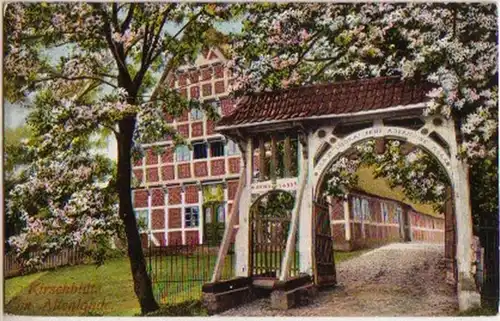 15838 Ak Kirschblüte im Altenlande Mittelnkirchen 1913