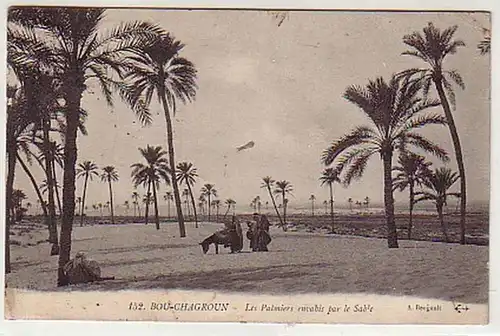 15529 Ak Bou Chagroun les Palmiers 1911