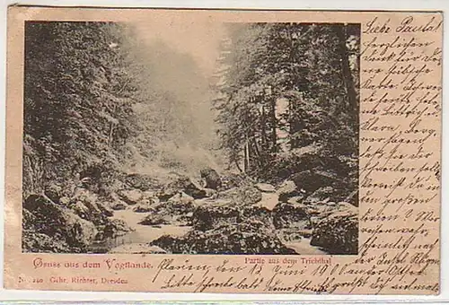 15521 Ak Gruß aus dem Vogtlande Triebthal 1900