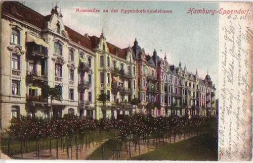 15462 Ak Hamburg-Eppendorf Rosenallee 1905