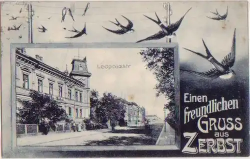 15359 Ak Gruß aus Zerbst Leopoldstrasse 1906