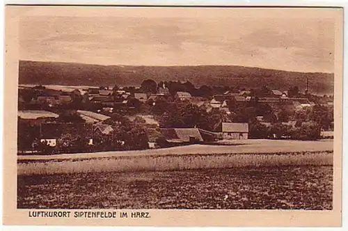 15137 Ak Luftkurort Siptenfelde im Harz um 1920