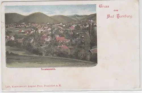 15009 Ak Lithografie Gruss aus Bad Harzburg Totalansicht um 1900