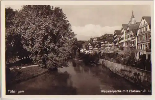 14960 Ak Tübingen Neckar partie avec Platanes Allee 1932