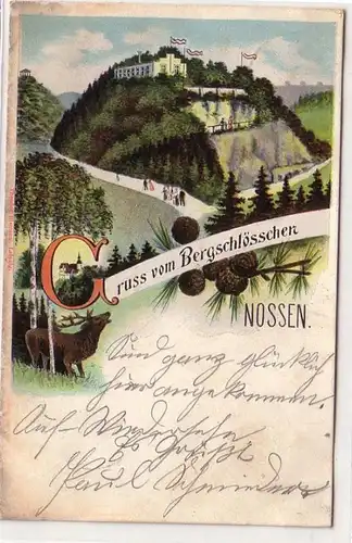 14932 Ak Salutation du château de montagne Nossen 1906