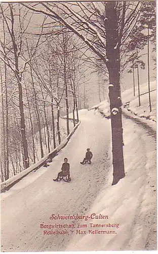 14928 Ak Schweinsburg Culten Rodelbahn um 1920