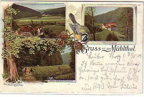 14907 Mehrbild Ak Gruß aus dem Mühlthal 1901