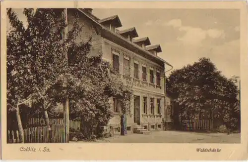 14785 Ak Colditz in Sachsen Waldschänke 1929