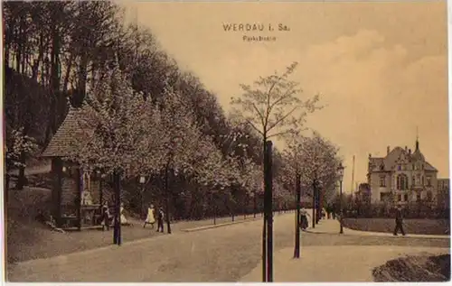 14431 Ak Werdau in Sachsen Parkstrasse 1910