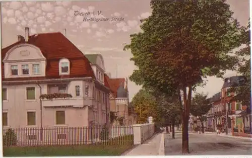 14283 Ak Treuen im Vogtland Herlasgrüner Strasse 1919