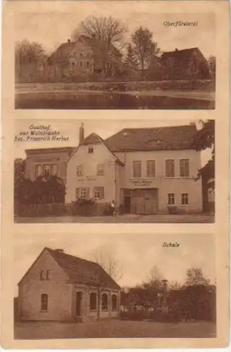 14268 Mehrbild Ak Gruß aus Ziegelroda um 1930