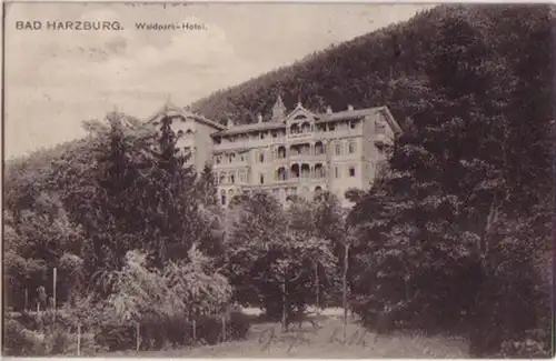 14163 Ak Bad Harzburg Waldpark Hotel 1910
