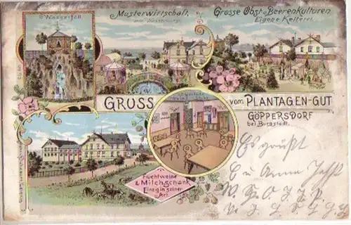 13970 Ak Lithographie Gruß aus Göppersdorf Gasthof 1899