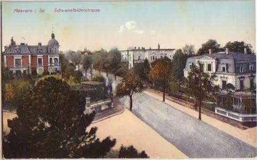 13808 Ak Meerane in Sa. Schwanefelderstrasse um 1910
