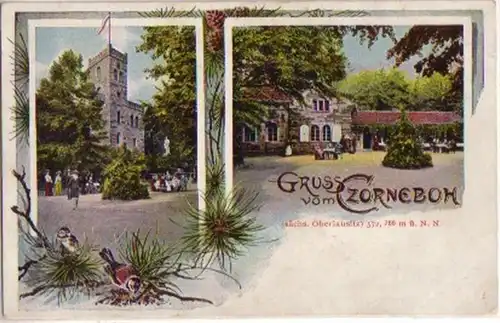13752 Ak Lithographie Gruß vom Czorneboh um 1910