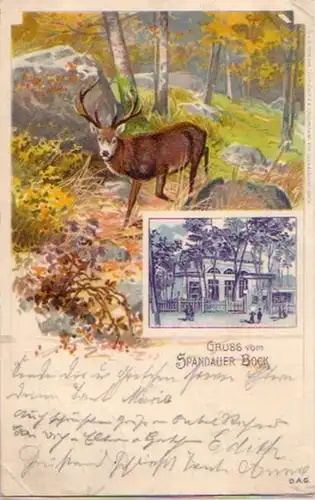 13307 Ak Lithographie Gruß vom Spandauer Bock 1902