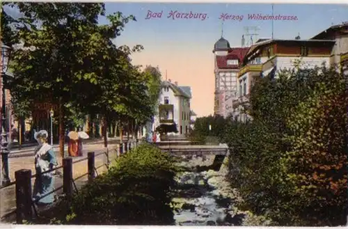 13287 Ak Bad Harzburg Herzog Wilhelmstrasse um 1920