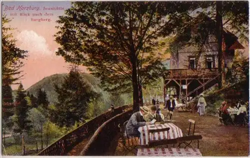 13284 Ak Bad Harzburg Gasthaus Sennhütte vers 1915