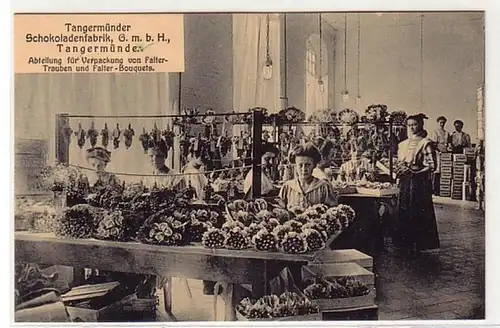 13228 Ak Tangermünder Chocolatenfabrik GmbH vers 1910