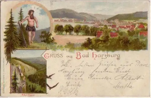 13153 Ak Lithographie Gruss de Bad Harzburg 1903